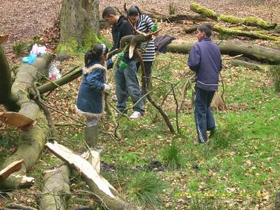 Den Building