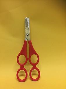 Scissors Training 