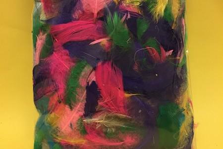 Feather