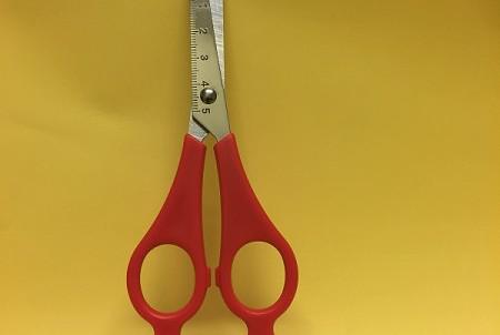 Scissors Training 